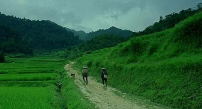 最新看电影照片，自然美景的探索之旅实拍赏析
