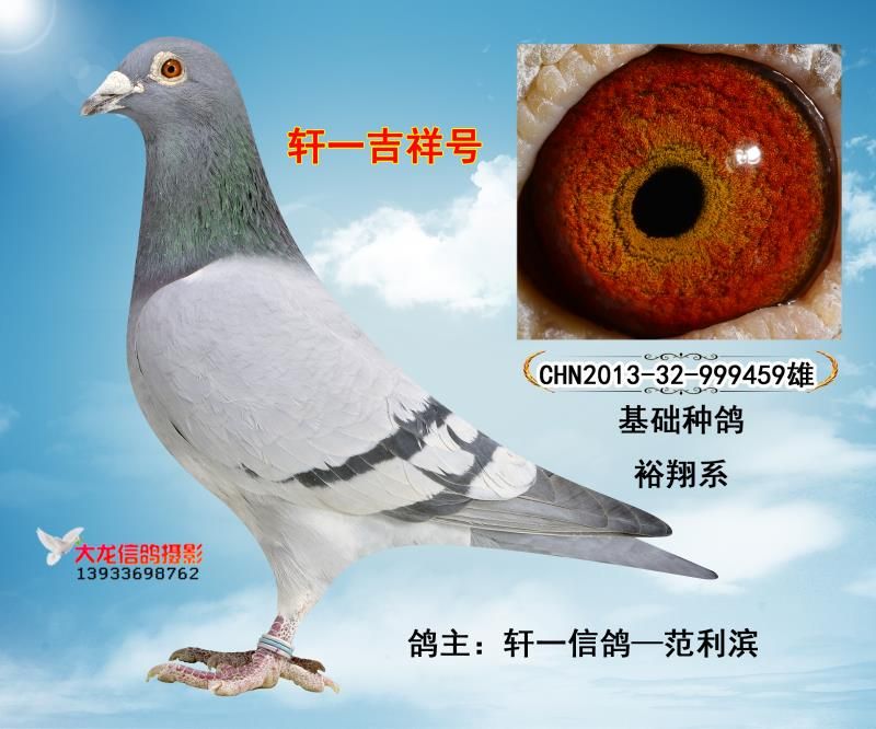 奇虾下载最新，探索自然美景之旅，寻找内心平和绿洲的旅行体验