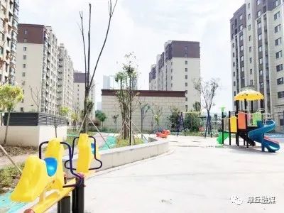 邻里间的温情日常