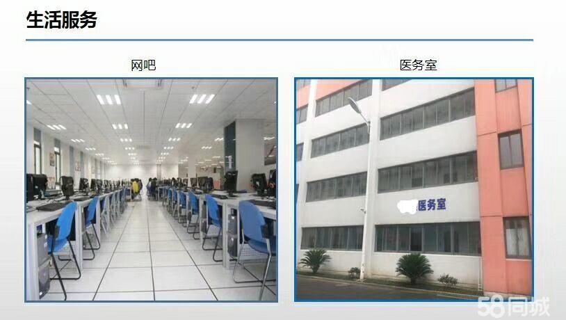 上海达鑫电子最新招聘及应聘指南