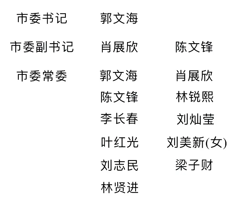 南充市委常委名单最新更新✨