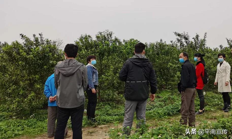 广西平南最新招聘信息汇总，获取指南与职位速递
