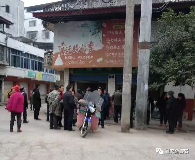 离石坪头乡最新新闻，欢乐时光中的温馨日常