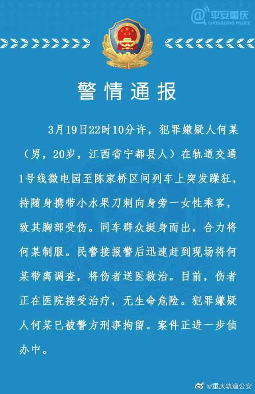 重庆初升高最新观点论述解析