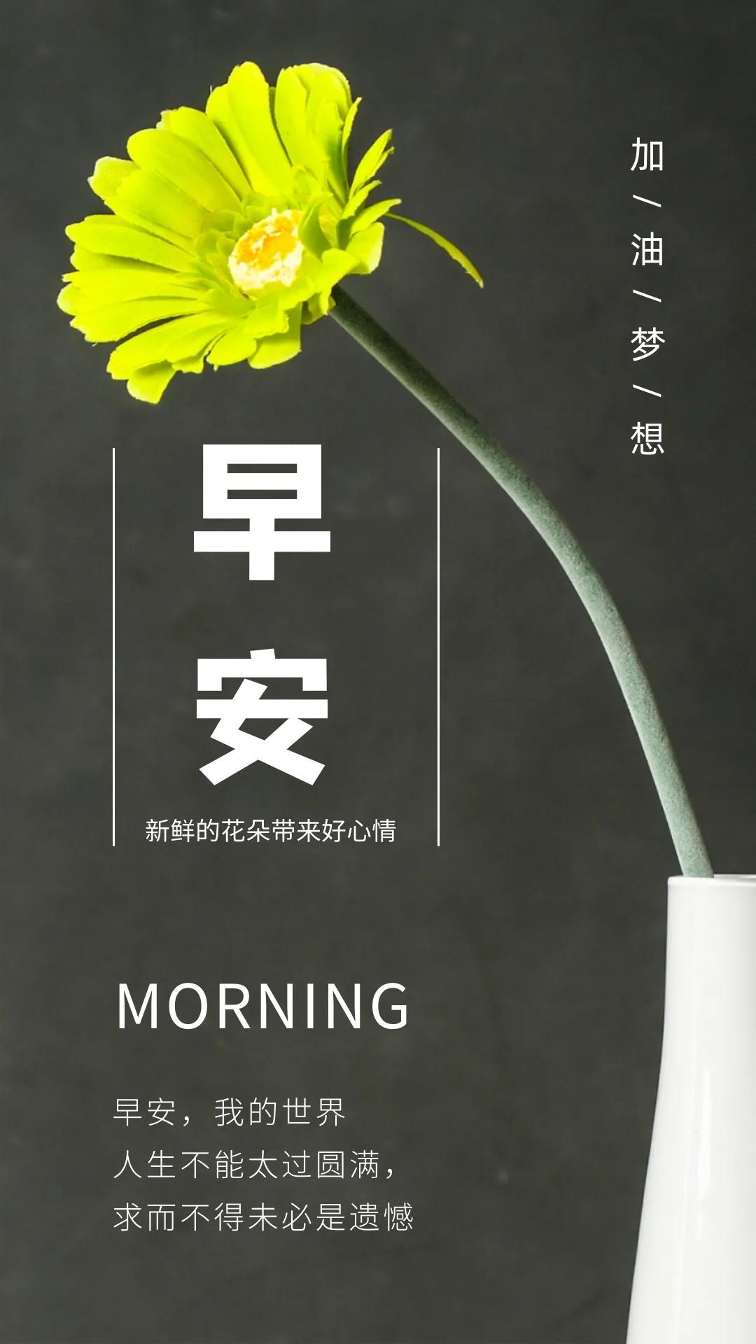 学生最新性案的成长之旅，自信与成就感的励志之旅