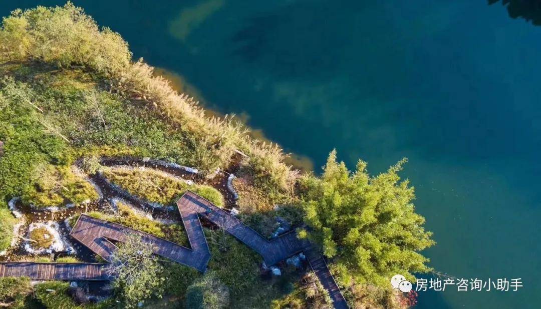 最新绿地新闻，自然美景探险之旅，探寻内心平和与宁静的源泉