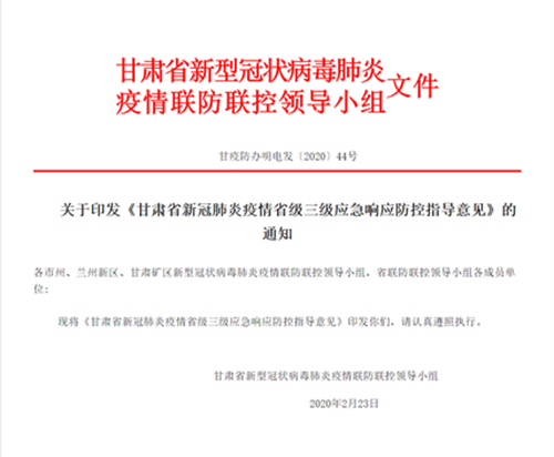 最新甘肃肺炎疫情动态，变化中的力量与学习带来的自信与成就感