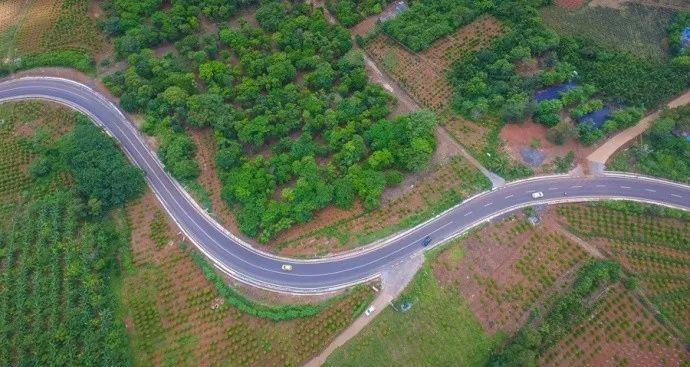 河南省道539最新动态，自然美景探索之旅的治愈之路