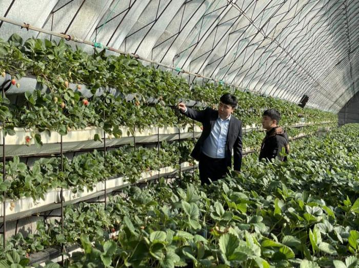 辽宁土地确权最新进展及其影响深度解析，一种观点分析视角