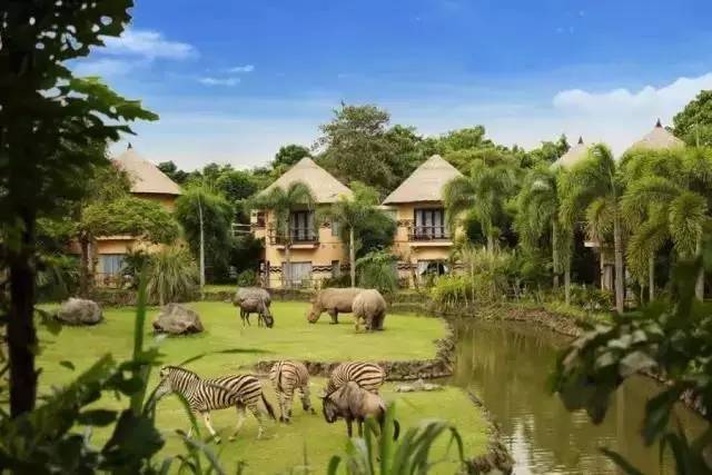 兰州动物园最新动态，探索自然美景，寻觅内心平和之旅