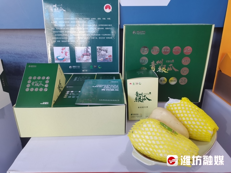 最新动态与进展