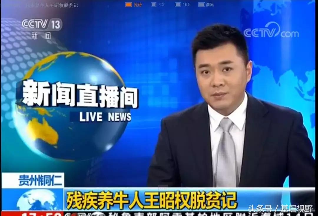 贵州养牛行情概览