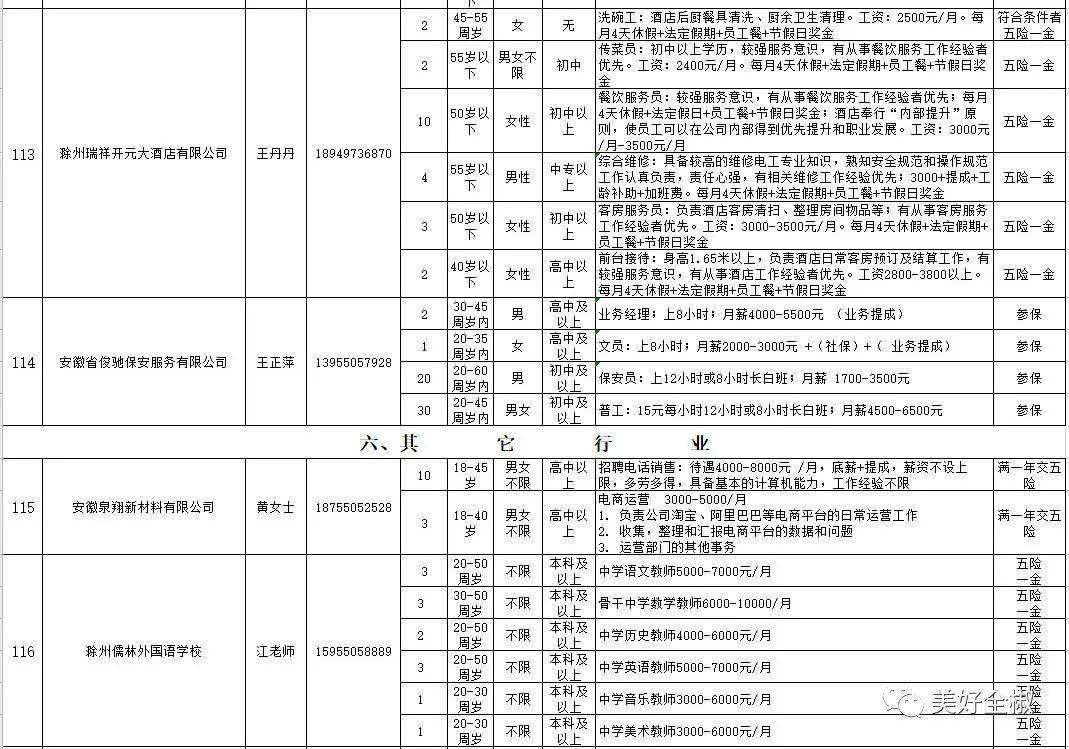 金乡招聘网，最新招聘信息，时代脉搏与人才舞台汇聚点