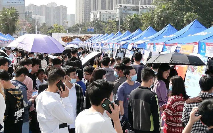 湛江人才网最新招聘信息及职位一览