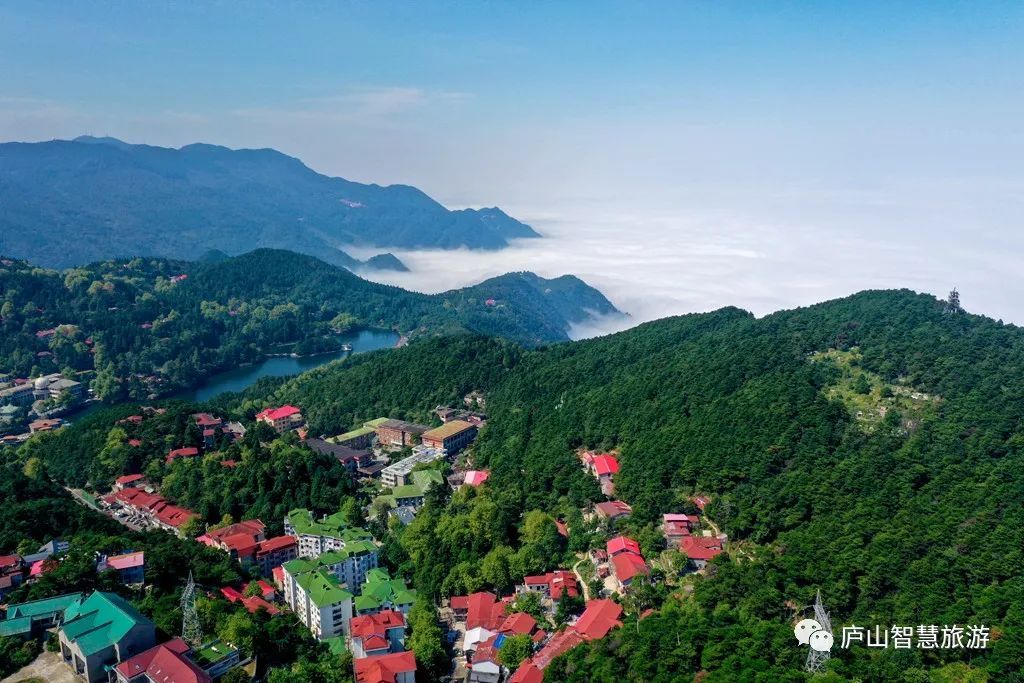 庐山最新动态更新🌄