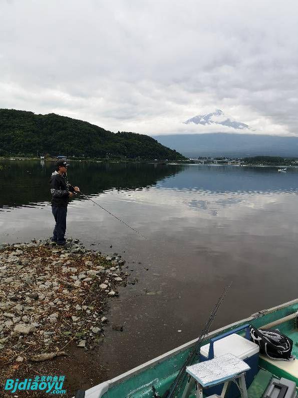 富士山最新动态更新，最新情况揭秘
