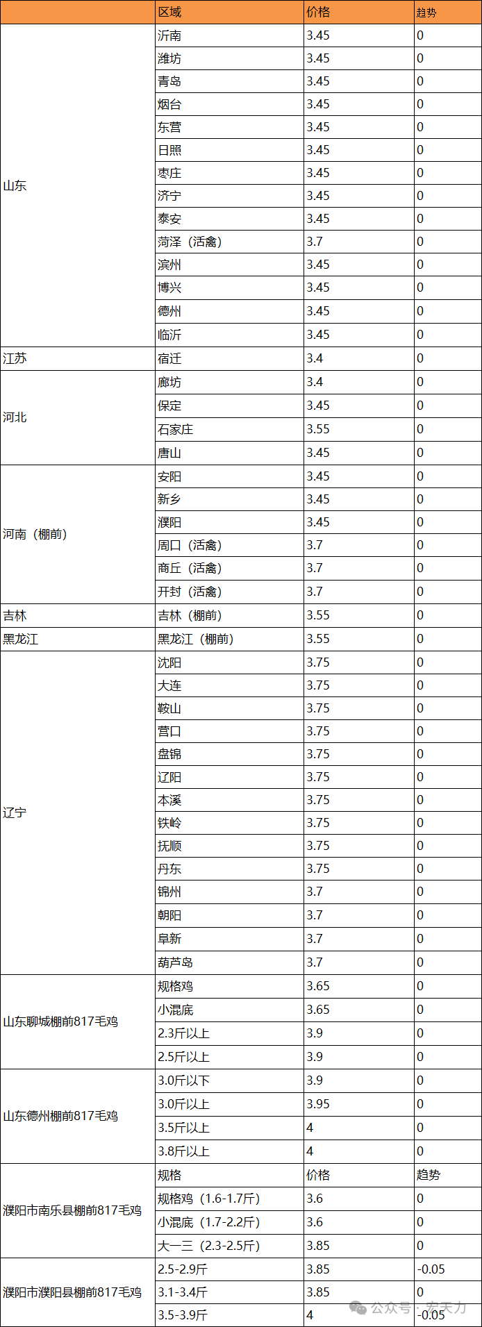 最新毛鸡价格探秘，小巷深处的味觉冒险之旅
