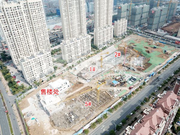 最新动态解析