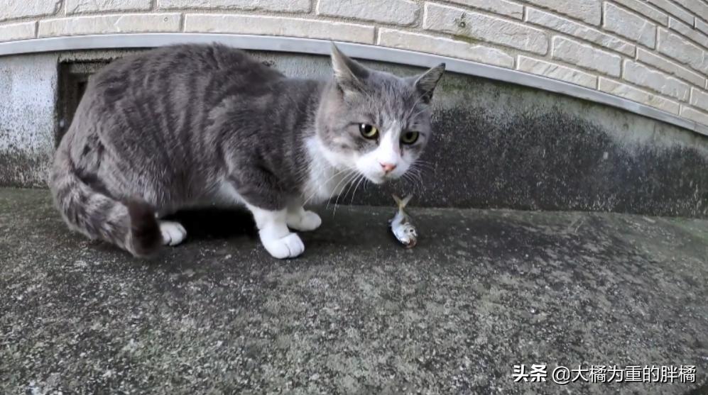 小巷独特风情