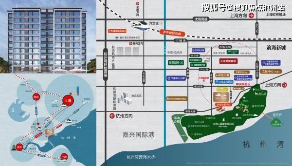 嘉兴市胡海锋的最新动态更新或消息摘要