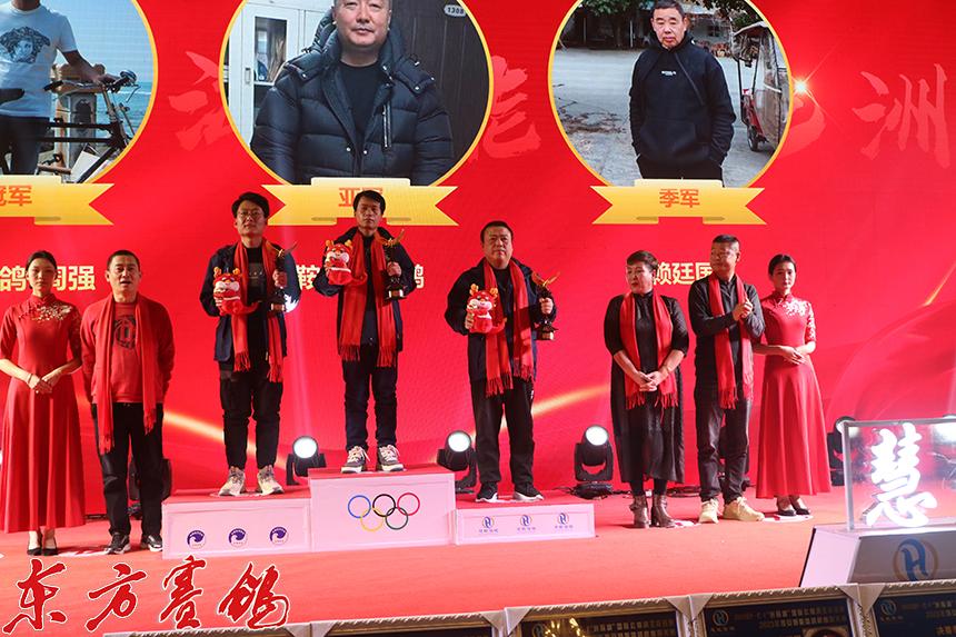 壹佰赛鸽公棚，小巷特色小店揭秘赛鸽世界的最新探索