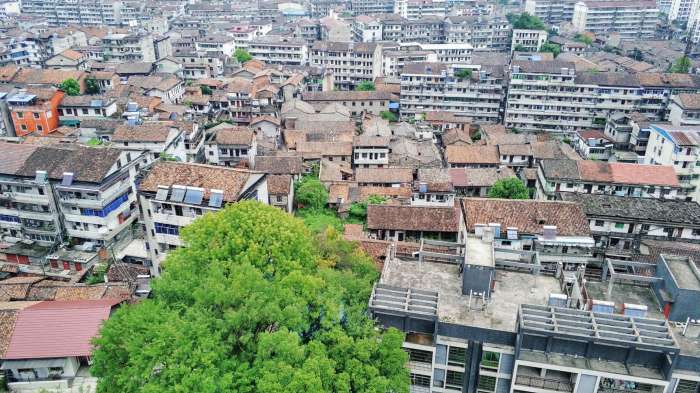江西省南城县最新招工信息概览，招工岗位及要求全解析