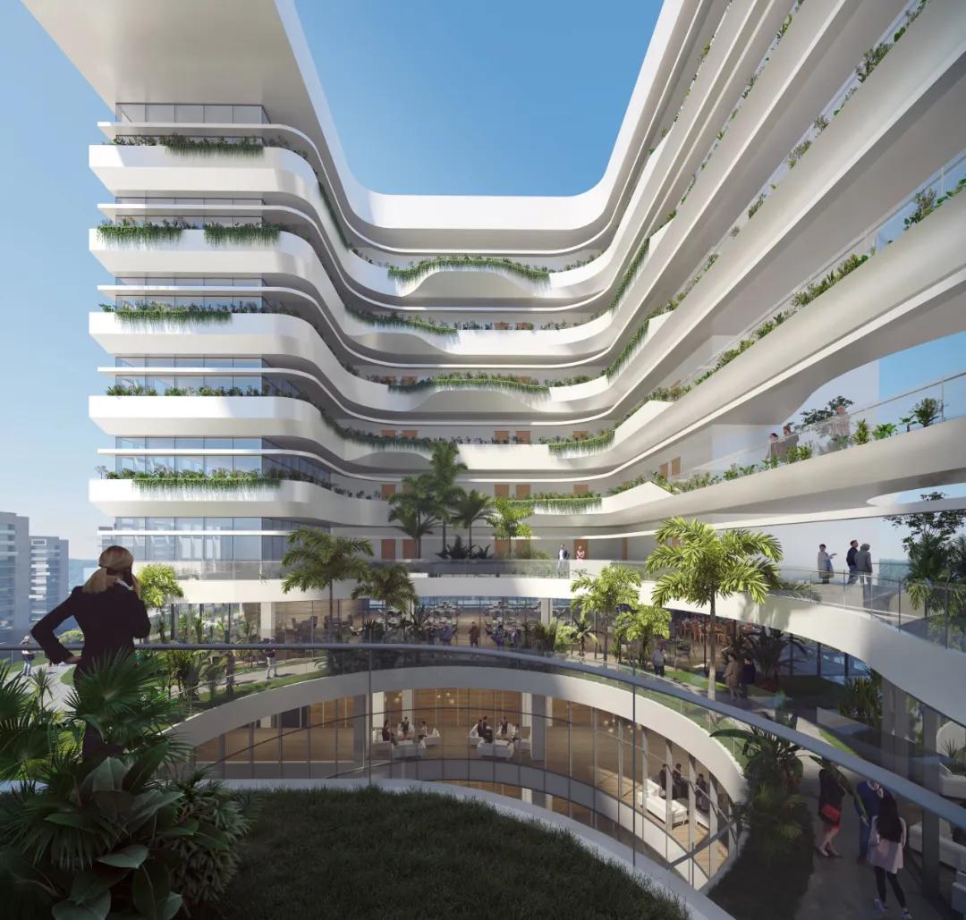 粤港澳大湾区的最新动态，关键信息与行动步骤的全面指南