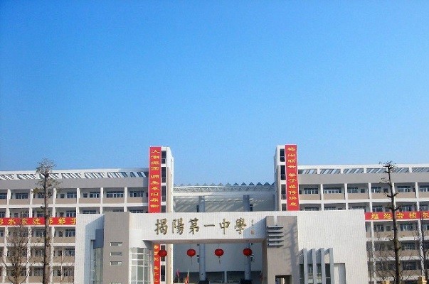 最新进展与挑战