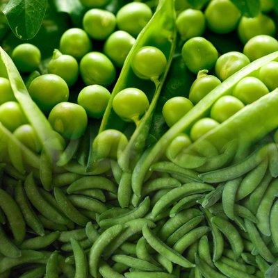 豌豆荚我的世界最新版，小明的冒险之旅与友情的纽带