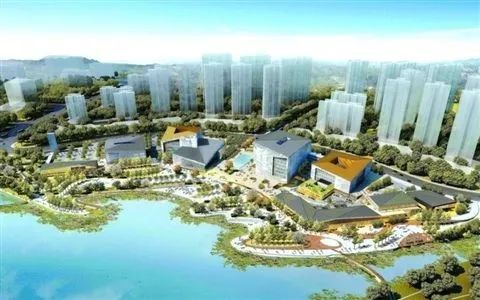 三水博雅滨江启航新征程，最新动态与成就梦想之路
