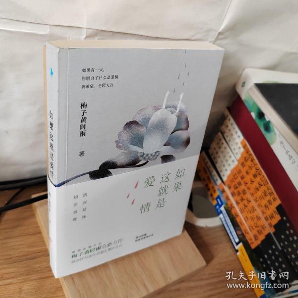 梅子黄时雨最新作品集，诗意与远方的交响乐章赏析