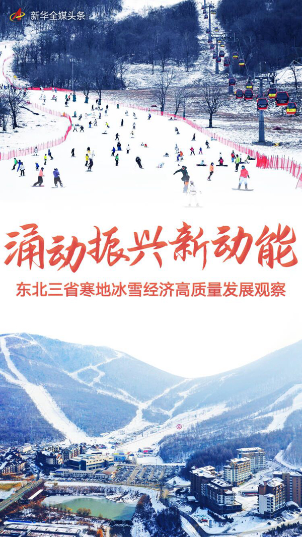 东北大集体最新动态，雪域振兴新篇章正式开启！