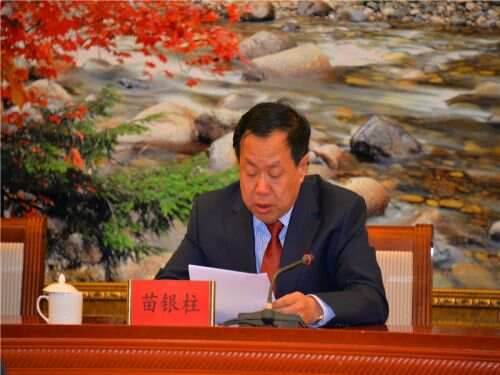 内蒙古苗银柱最新任命详解，步骤指南与进阶攻略（初学者必备）