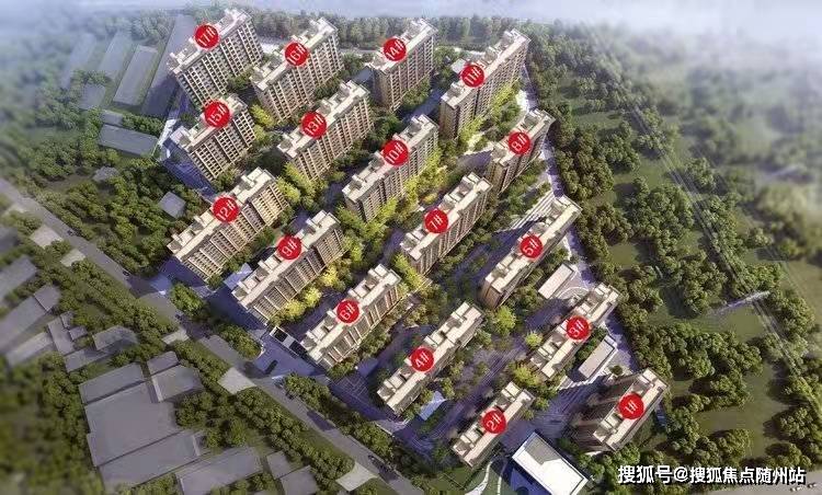 宁夏路桥段宁最新动态更新
