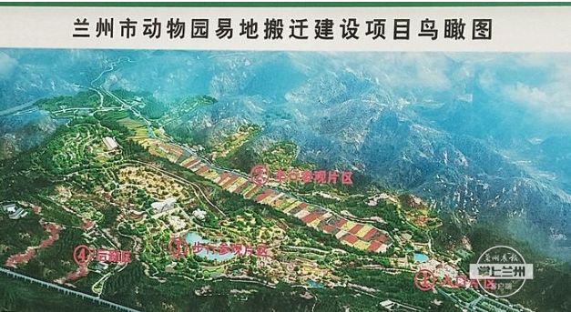 兰州动物园搬迁最新动态，启程探寻自然美景之旅